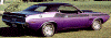 purplta.gif (18525 bytes)